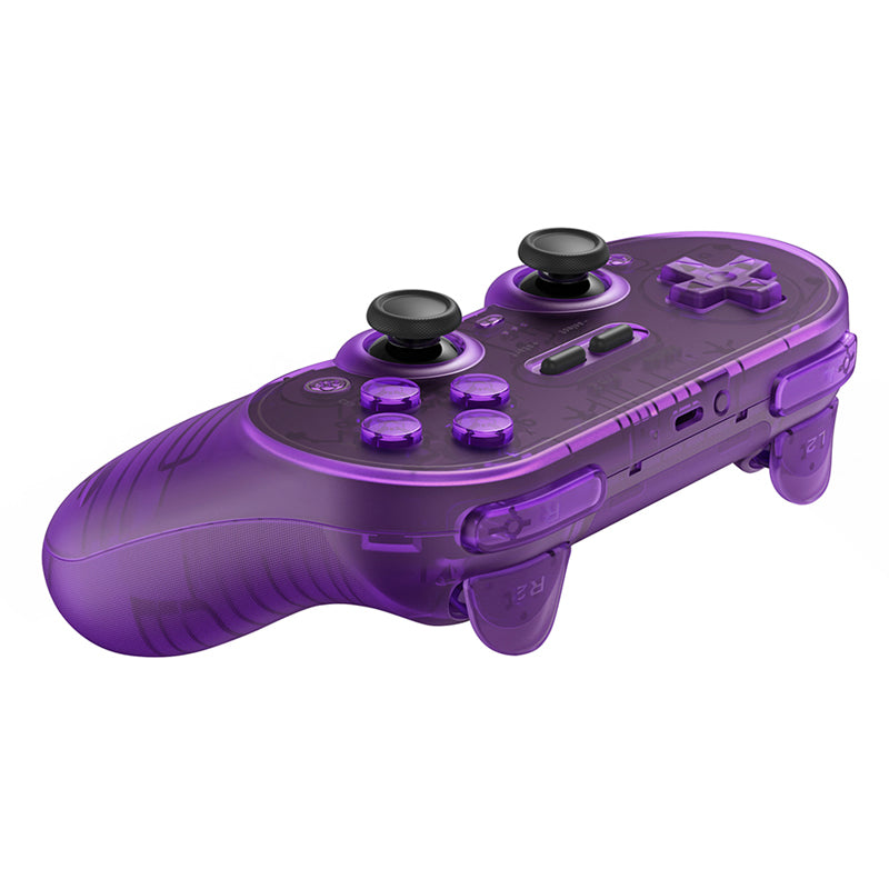 8BitDoPro2WirelessControllerGamepad_6_60868c5b-d93b-41e7-8951-197d3d3fb459