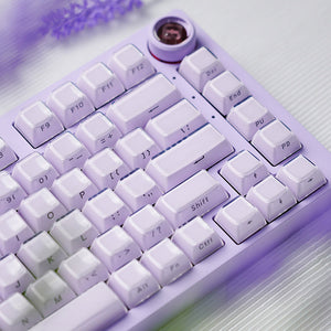 ACGAM Jello Translucent Jelly Keycap Set OEM Profile 113 Keys