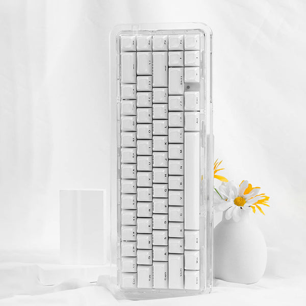 ACGAM Jello Translucent Jelly Keycap Set OEM Profile 113 Keys