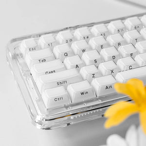 ACGAM Jello Translucent Jelly Keycap Set OEM Profile 113 Keys