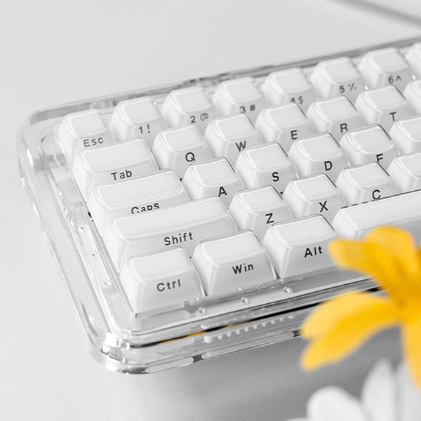 ACGAM Jello Translucent Jelly Keycap Set OEM Profile 113 Keys