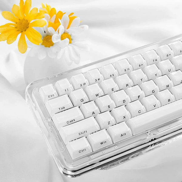 ACGAM Jello Translucent Jelly Keycap Set OEM Profile 113 Keys