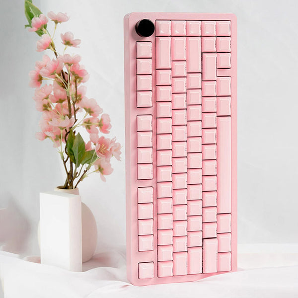 ACGAM Jello Translucent Jelly Keycap Set OEM Profile 113 Keys