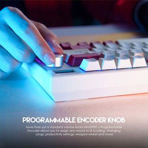 FANTECH MAXFIT81 MK910 Wireless Barebone DIY-Kit mit OLED-Bildschirm