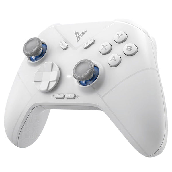 Flydigi Direwolf 3 Gaming Controller Compatible with PC/Switch/Apple /Android