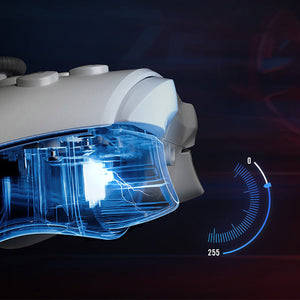 Flydigi Direwolf 3 Gaming Controller Compatible with PC/Switch/Apple /Android