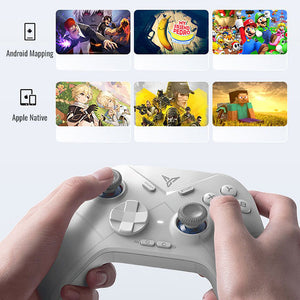 Flydigi Direwolf 3 Gaming Controller Compatible with PC/Switch/Apple /Android