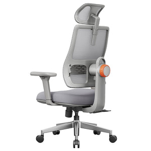 NEWTRAL MAGICH003 Ergonomic Office Chair with Adaptive Lower Back Support