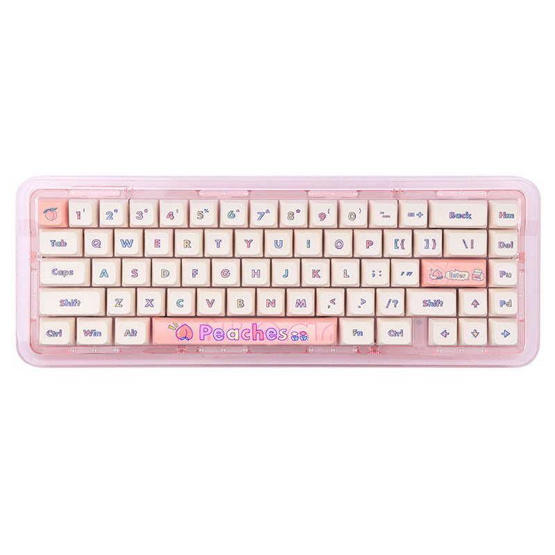 FirstBlood B67 Transparent Mechanical Keyboard