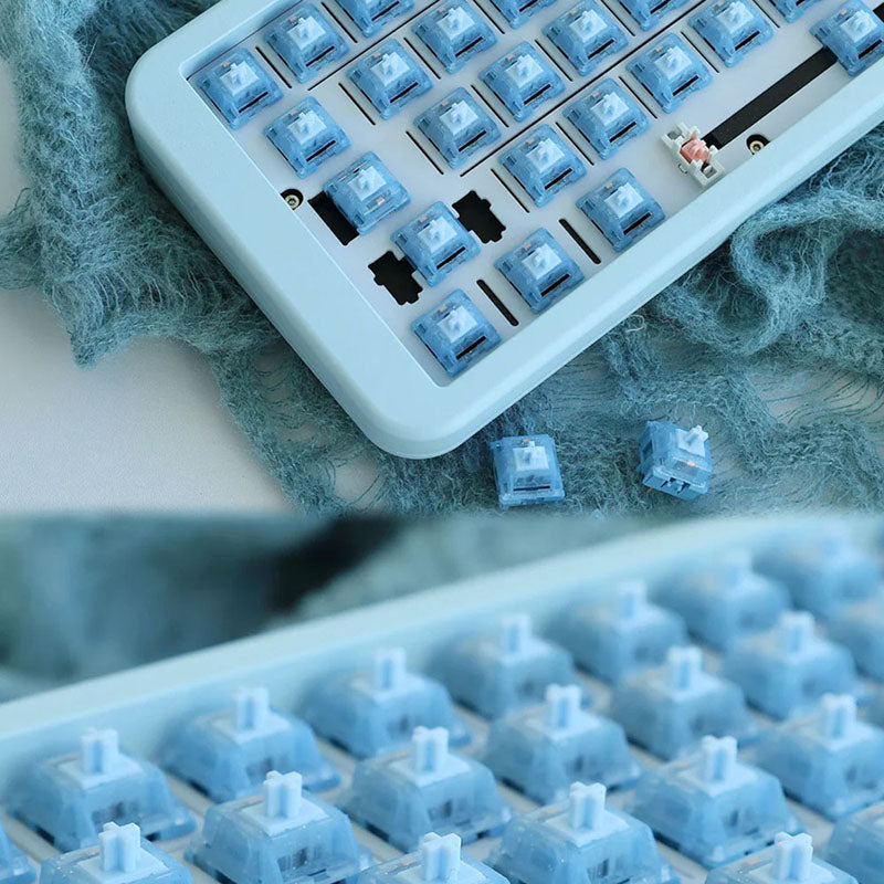 ACGAM x Mage Lantopa Linear Switches - Thumbnail 2
