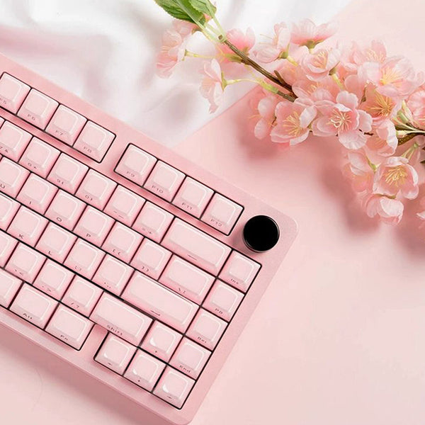 ACGAM Jello Translucent Jelly Keycap Set OEM Profile 113 Keys