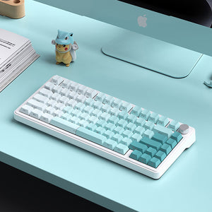 ACGAM Side Print Gradient Keycap Set Cherry Profile 121 keys Multiple Colors