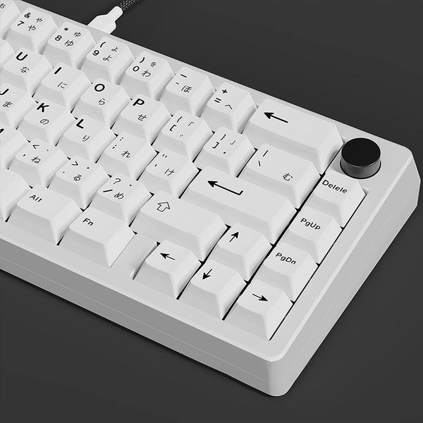 ACGAM Simple White Keycap Set Cherry Profile 125 keys