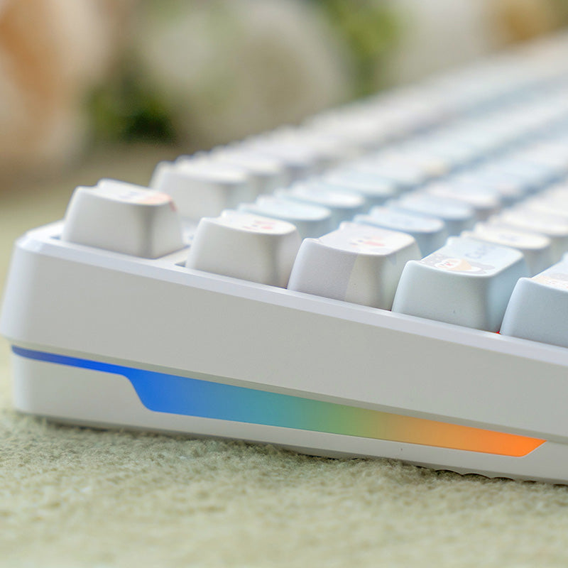 ACGAM_x_Maorbeng_Happy_Doggy_MAO_Profile_Keycap_Set_141_Keys_3