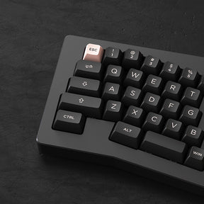 Akko ACR PRO Alice Plus Mechanical Keyboard