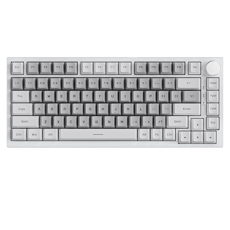 Ajazz_AK820_AS_Classic_TKL_Mechanical_Keyboard_Gray_White