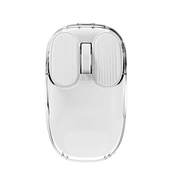 Mystery Gaming Mouse Box