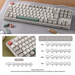 Akko 9009 5087B Plus ISO Nordic Wireless Mechanical Keyboard