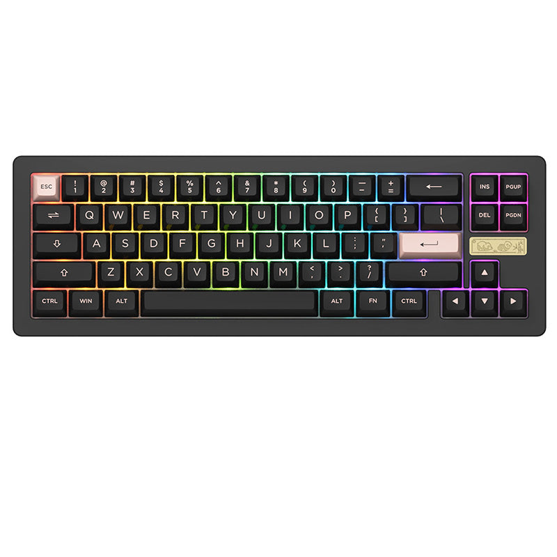 Akko ACR Pro 75 DIY Kit - Thumbnail 4