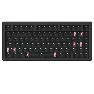Akko ACR Pro 75 DIY Kit