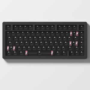 Akko ACR Pro 75 DIY Kit