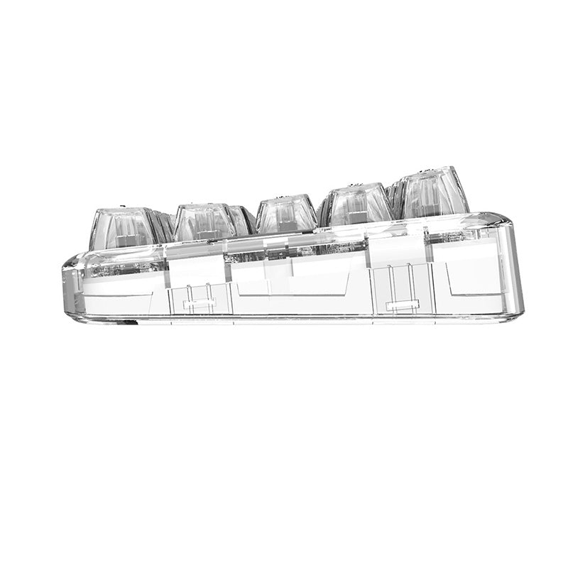 CoolKiller CK68 Polar Bear Transparente kabellose mechanische Tastatur