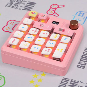 DOIO KB19B-01 Wireless Macro Keyboard DIY Kit with OLED Screen