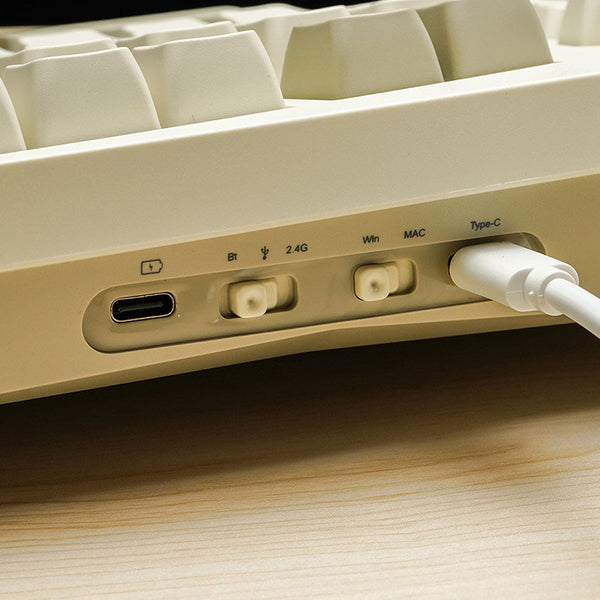 FEKER Alice 98 port and switch button