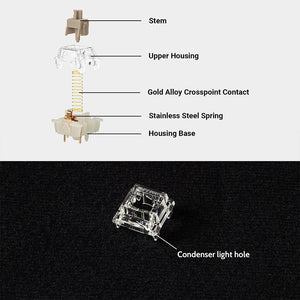 Gateron Baby Raccoon Linear Switches