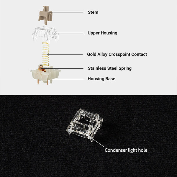 Gateron Baby Raccoon Linear Switches