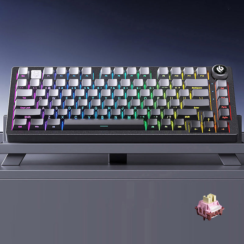 Leobog Hi75 Glitter Aluminum Keyboard Gradient Side-Printed Keycaps ...