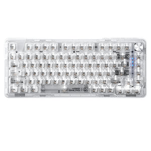 Tastiera meccanica trasparente WhatGeek x Machenike K500F-B81 RGB