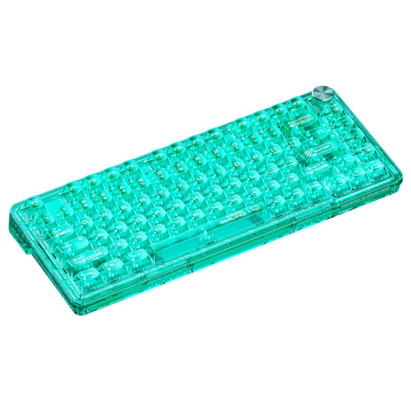 Tastiera meccanica trasparente WhatGeek x Machenike K500F-B81 RGB