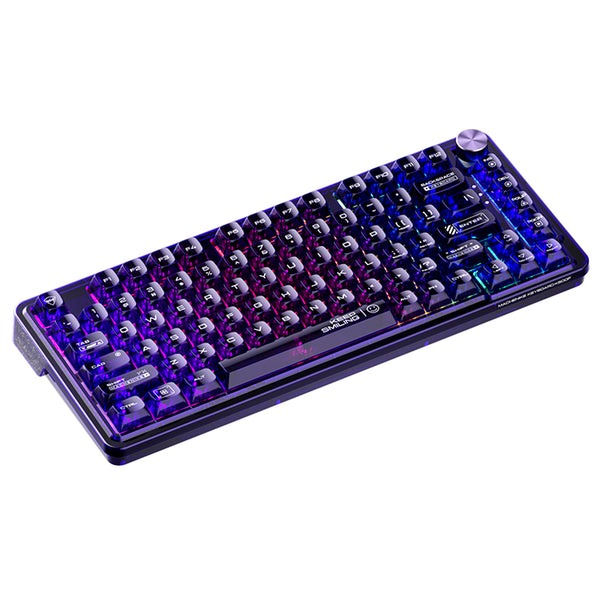 Tastiera meccanica trasparente WhatGeek x Machenike K500F-B81 RGB