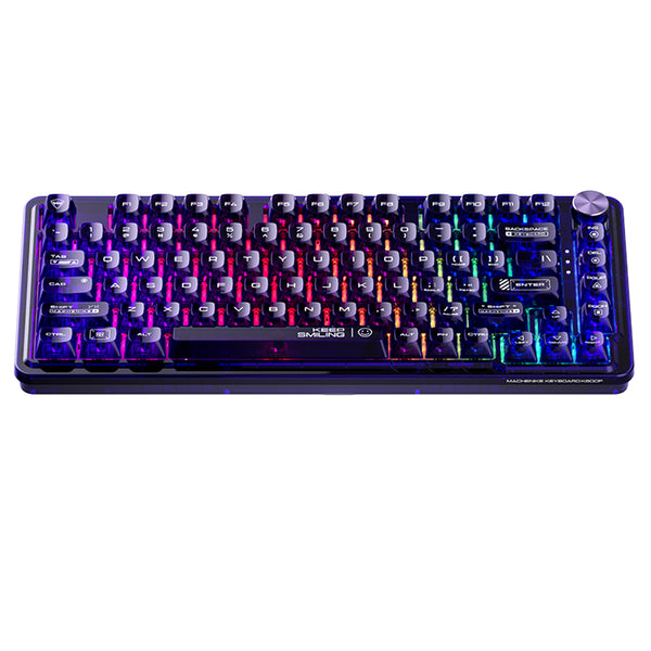 Tastiera meccanica trasparente WhatGeek x Machenike K500F-B81 RGB