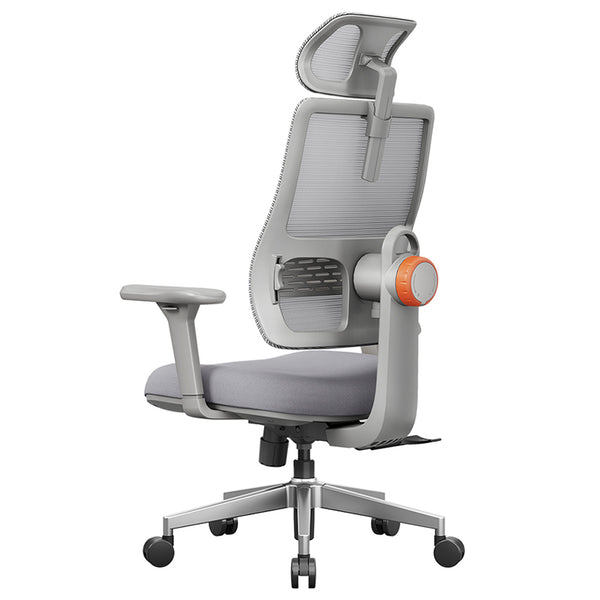 NEWTRAL MAGICH003 Ergonomic Office Chair with Adaptive Lower Back Support