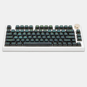 PIIFOX Binary ASA Profile PBT Keycap Set 117 Keys