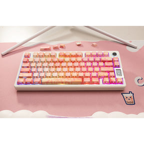 PIIFOX CKC-02 Pink Oil Painting Side-printed OEM Profile Keycap Set 130 Keys