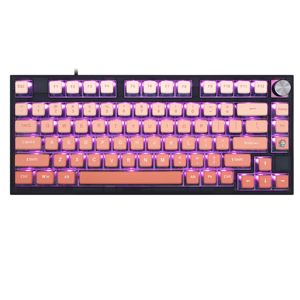 SKYLOONG GK7 Pudding PBT ASA Profile Keycap Set 126 Keys