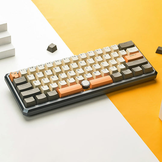 SKYLOONG GK61 Pro mechanische Tastatur mit geteilter Leertaste