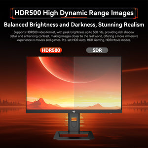 TITAN ARMY P2510S PLUS Gaming Monitor 24.5"