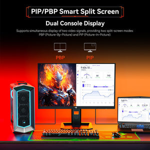 TITAN ARMY P2510S PLUS Gaming Monitor 24.5"