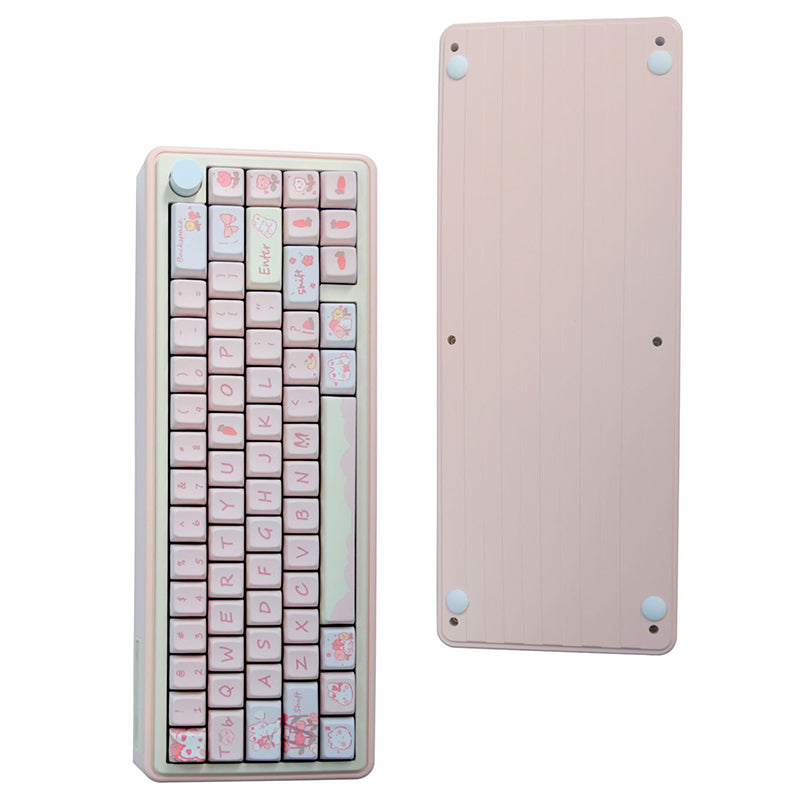 ZUOYA LMK67 Triple-mode RGB Gaming Keyboard Gasket DIY Kit - WhatGeek