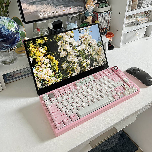 WhatGeek x LEOBOG Hi75 Hi75C Pro RGB Wired/ Tri-mode Aluminum Keyboard Kit DIY Keyboard