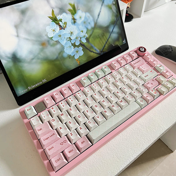 WhatGeek x LEOBOG Hi75 Hi75C Pro RGB Wired/ Tri-mode Aluminum Keyboard Kit DIY Keyboard