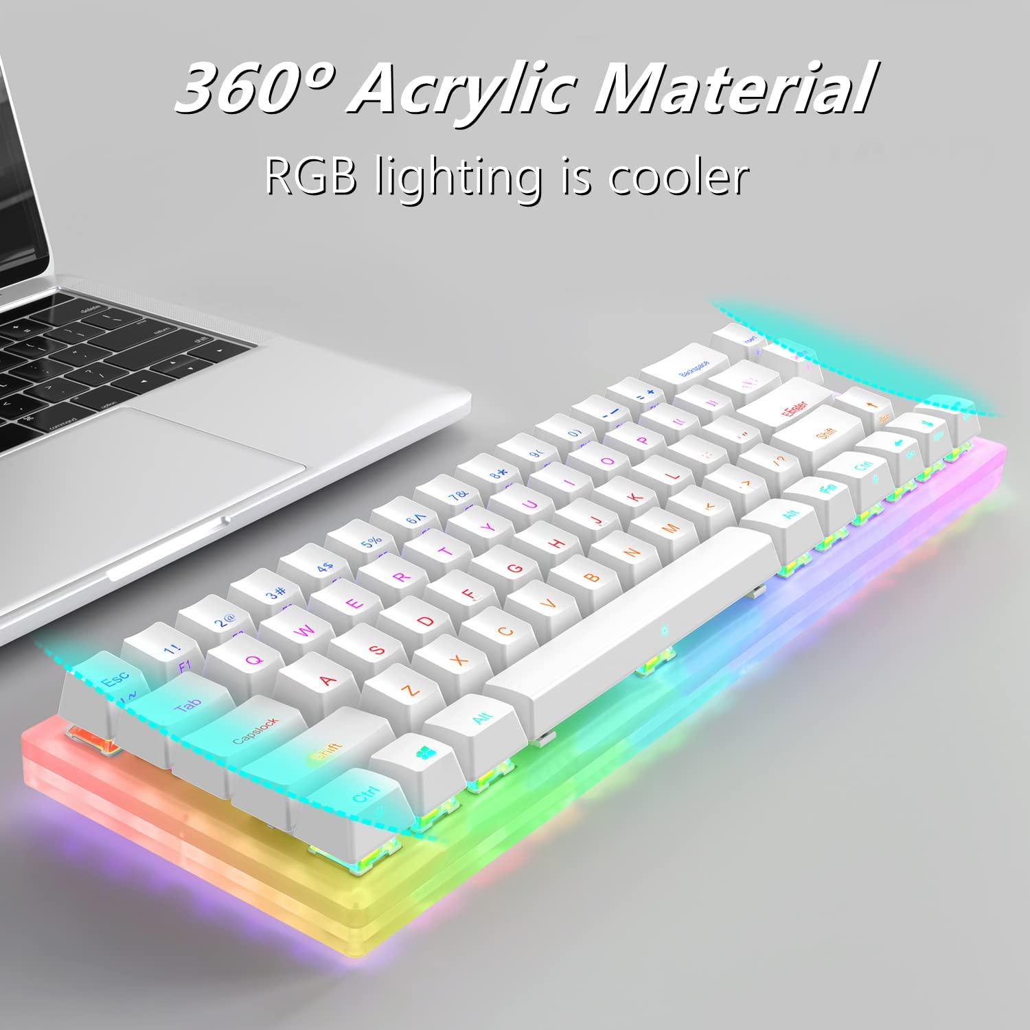products/2_f9905663-22e2-41c2-aff4-3d17aedc789f