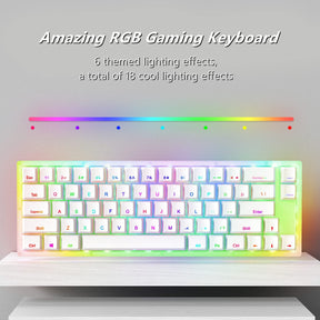 Womier K66 Mechanical Keyboard