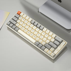 ACGAM GK65 Rainbow Backlight Mechanical Keyboard