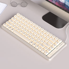 ACGAM GK85 유선 기계식 키보드