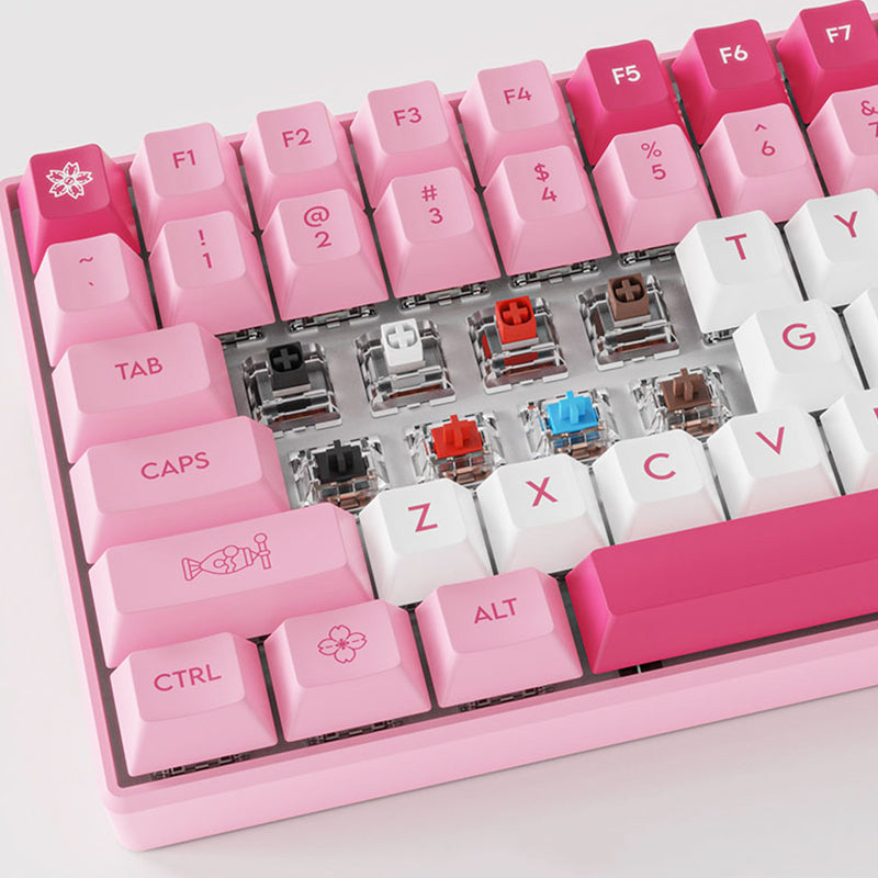 products/DAGK6096Pink96_MechanicalKeyboard_5